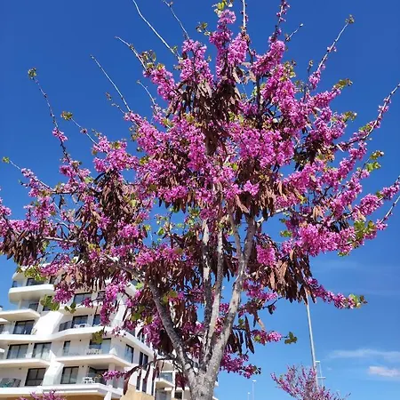 Apartment Allonbay & Beach Villajoyosa
