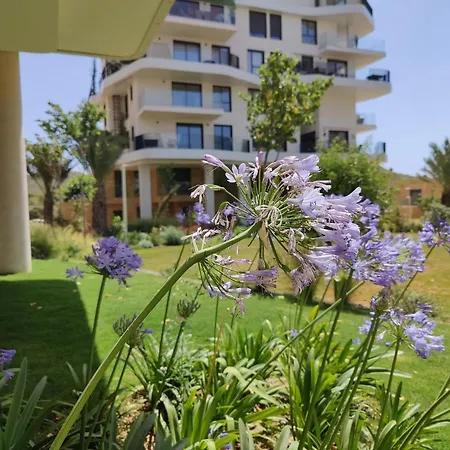 Allonbay & Beach Apartment *